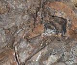 江蘇千年漢墓新進(jìn)展：墓主或是吳王劉濞