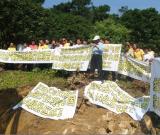 觀音山國(guó)家森林公園遭劫 文化風(fēng)景區(qū)恐不保(圖)