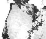 潘天壽指畫(huà)成就被公認(rèn)超過(guò)高其佩(圖)