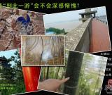 “到此一游”意義何在？追問(wèn)那些令人慚愧的涂鴉