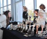 小小玩偶匯聚愛心力量 圖