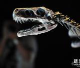 恐龍展登陸新加坡藝術(shù)科學(xué)博物館 圖