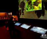 意大利葡萄酒文化展在羅馬開幕 圖