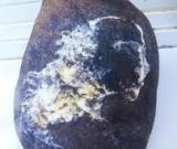 老人河邊拾奇石：圖案神似張大千