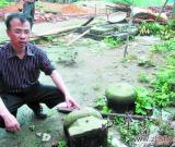 長沙發(fā)現(xiàn)北宋著名理學(xué)家游酢的一支后裔