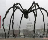 藝術(shù)家70歲再紅也不遲