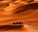 “絲路奧秘”文物展在美國(guó)休斯敦開(kāi)展