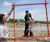 大地農(nóng)民畫《巨龍舞夢》正式種“彩龍” 組圖