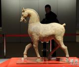 南京博物院舉行馬文物精品展 圖