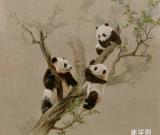 “熊貓情懷—邊健油畫藝術(shù)展”將開幕