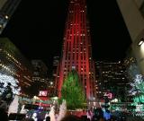 紐約洛克菲勒中心舉行圣誕樹亮燈儀式 組圖