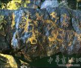 電子眼全天候監(jiān)控 高科技保護(hù)瀕危陰山巖畫