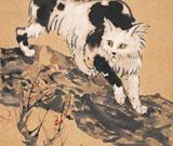 徐悲鴻《貓》圖亮相 見證美術(shù)史上著名論戰(zhàn)