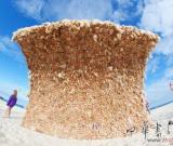 澳大利亞藝術(shù)家用3000多個芭比娃娃打造巨型海浪