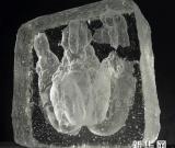 琉璃之人間探索——楊惠姍、張毅聯(lián)展