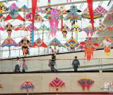 銀川首屆精品風(fēng)箏展開展 圖