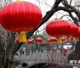 濟(jì)南：大紅燈籠迎立春