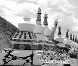 青海省文物局：玉樹不可移動的文物100%受損