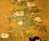 情趣《富貴花貍圖》