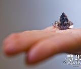 13.22克拉鮮彩藍色鉆石即將拍賣 圖