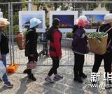 首屆紅河哈尼梯田世界文化遺產(chǎn)國際攝影雙年展在云南元陽舉行 圖