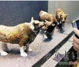 隋煬帝墓出土文物首次公開亮相 共百余件（圖）