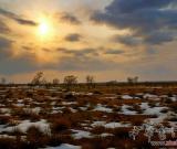 鄂爾多斯高原：早期東西方文化交流通道