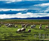 草原文明或系中華文明三大起源之一