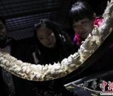 千件猛犸牙雕亮相潘家園