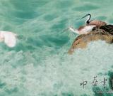 居深履厚——鄒傳安從藝50年回顧展5日在京開幕