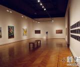 陌生文化環(huán)境中的中國(guó)當(dāng)代藝術(shù)