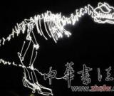 藝術(shù)家用手電筒再現(xiàn)恐龍(圖)