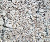 上海美術作品進京展