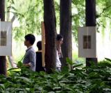 杭州舉辦“他日的故事”林間畫展 組圖