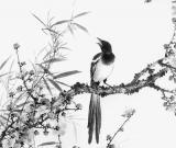 喜報(bào)平安（中國(guó)畫）