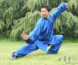 中國(guó)太極名師在亞美尼亞孔子學(xué)院開設(shè)武術(shù)班