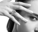 2010藝術(shù)品秋拍上演六宗“最”