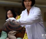 蘭州：市民走進(jìn)文物“醫(yī)院” 組圖