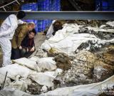 “南海一號”海量宋瓷重見天光 圖