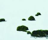 無聲的寓言--胡文丹油畫作品展