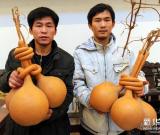 “80后”小伙的“葫蘆夢”