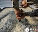 藝術(shù)家10萬(wàn)枚釘子創(chuàng)作“釘子戶”作品
