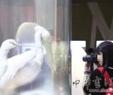 首家候鳥博物館開館 占地約2000平方米