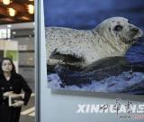 用圖片譜寫生命之歌 展示豐富多彩的生物多樣性