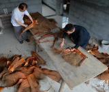 織蓑衣——“樹皮成衣”的古老縫紉技藝 組圖