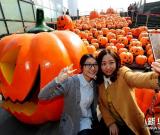 南瓜燈“開會”