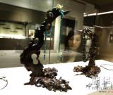 蘇寧個人畫展在朵云藝術(shù)館舉行 圖