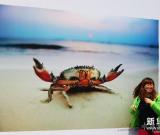 “萬歲·萬寧”主題攝影展在北京開幕 圖