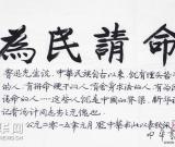 書法家龐中華題字贊揚(yáng)新華社記者湯計(jì)“為民請(qǐng)命” 圖