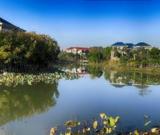 第二屆蓮花溫泉杯全國書畫大賽征稿啟事